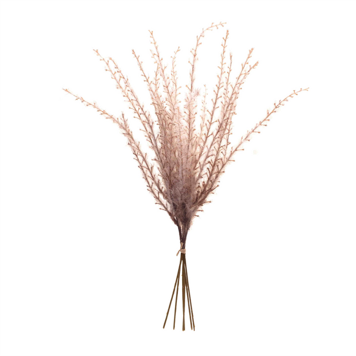Grass Plume Bundle (Set of 6)