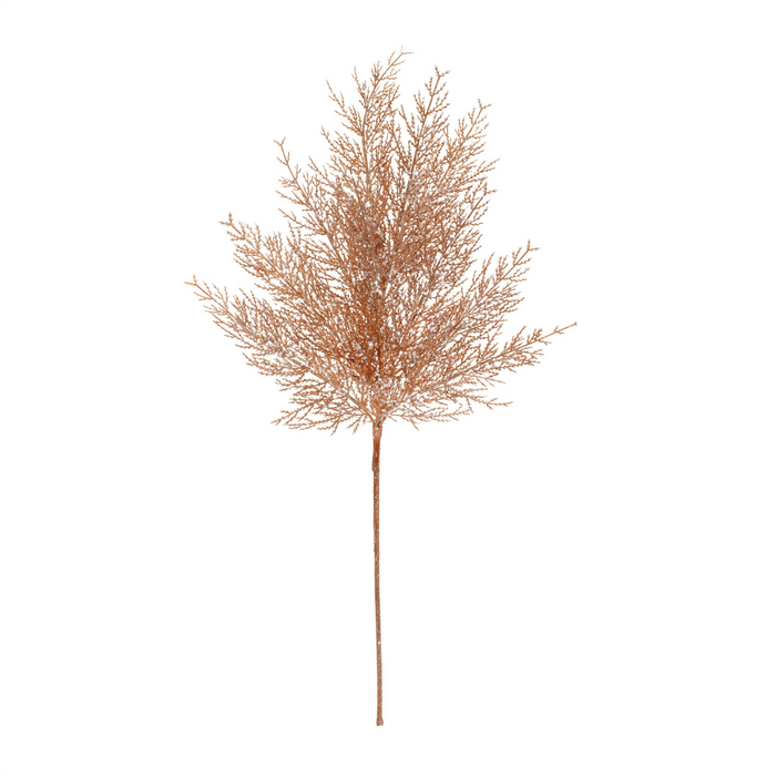 Cedar Spray (Set of 4)