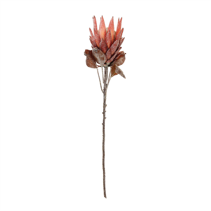 Red Protea Flower Stem (Set of 2)