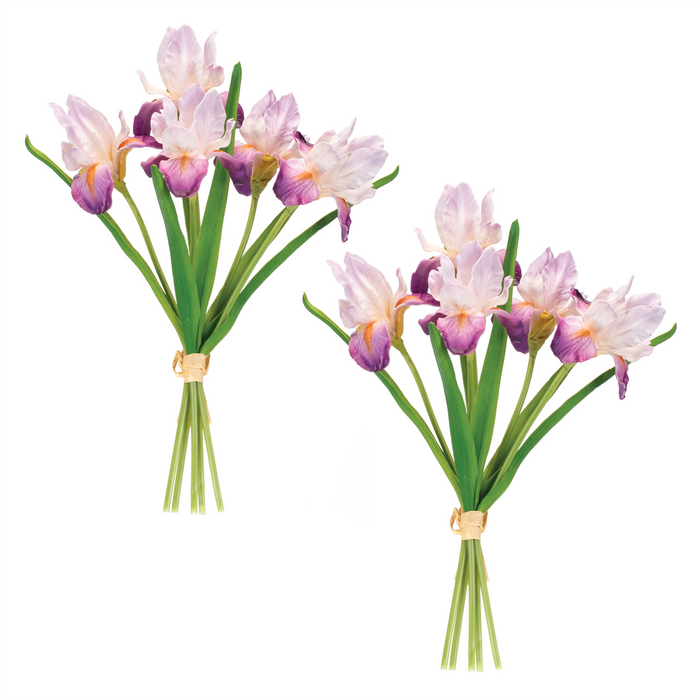 Iris Bundle (Set of 2) 15.5”H Foam/Plastic