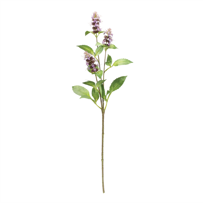 Buddleia Stem (Set of 6) 29”H Polyester