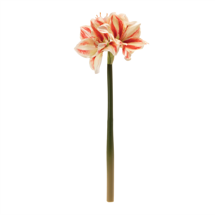 Amaryllis (Set of 6) 17.5”H Polyester