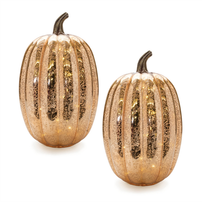 LED Mercury Glass Pumpkin Decor (Set of 2)