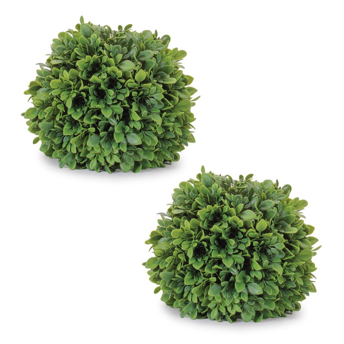 Boxwood Orb (Set of 2) 7.5”D Plastic