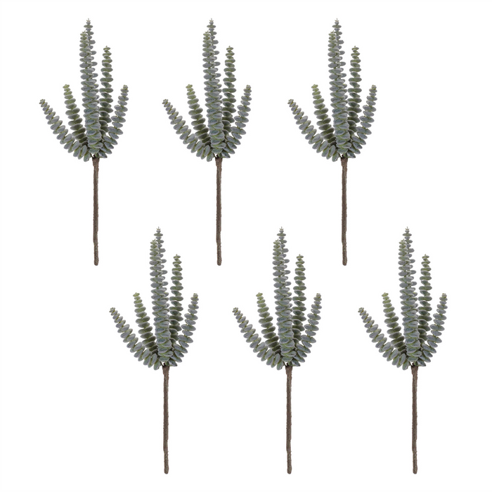 Succulent (Set of 6) 11”H Plastic