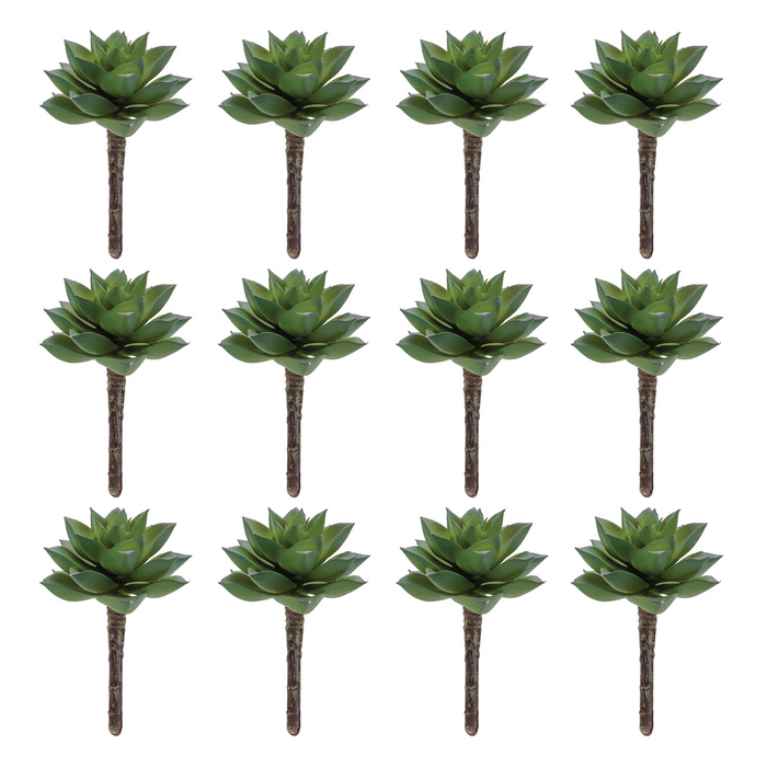Succulent (Set of 12) 4.25”H Plastic