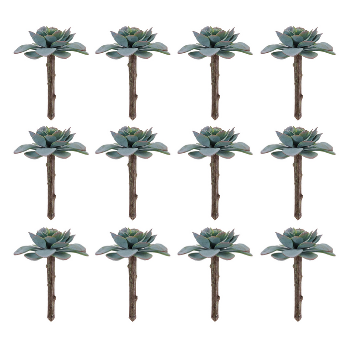 Succulent (Set of 12) 5”H Plastic