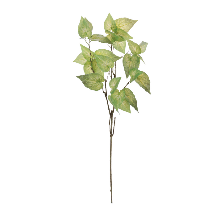 Anthurium Leaf Branch (Set of 4) 40”H Polyester