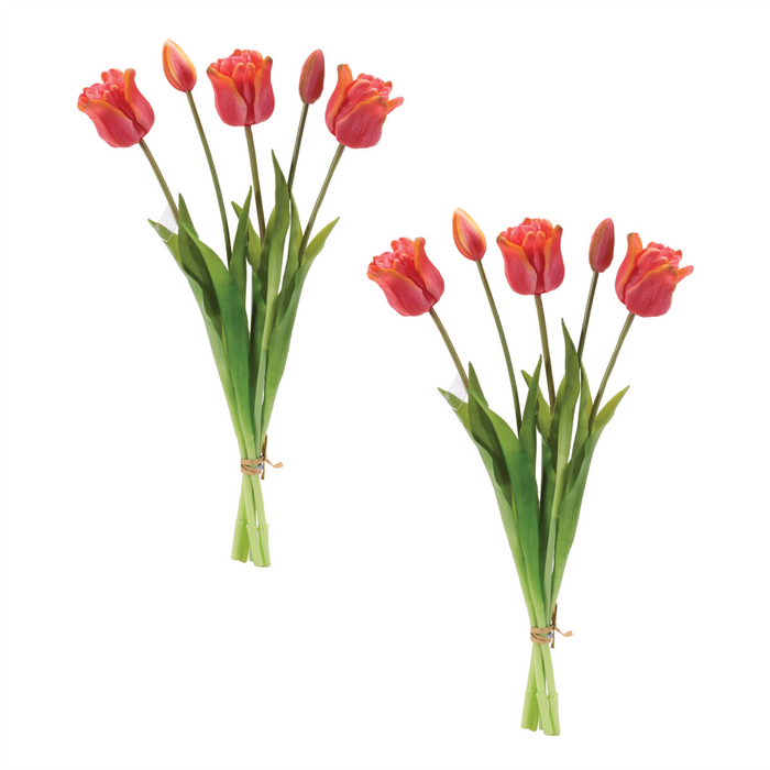 Tulip Bundle (Set of 2) 18.5”H Plastic
