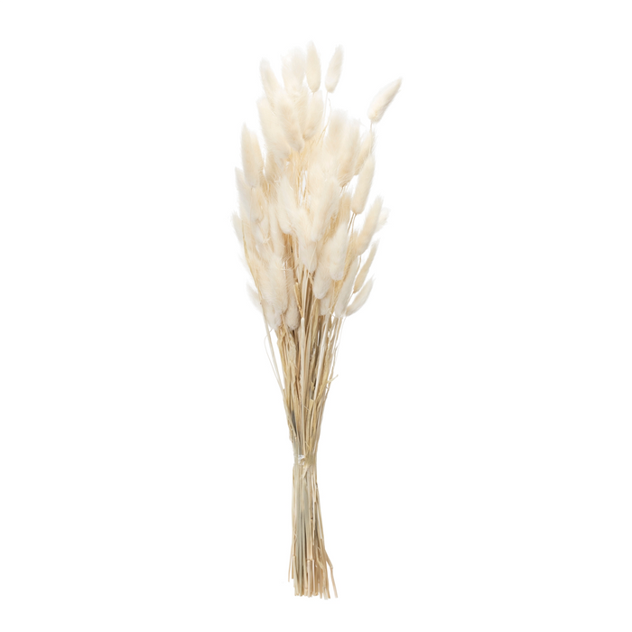 Bunny Tail Bundle (Set of 2) 32.5"H Natural