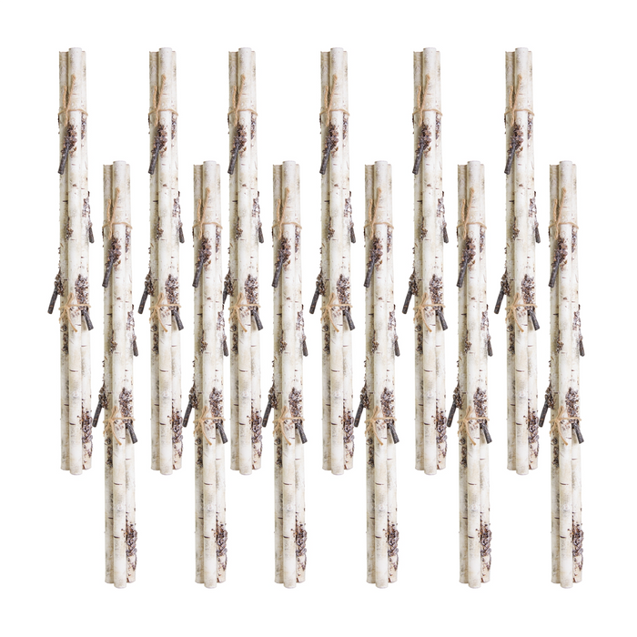 Rustic Birch Log Bundle with Snowy Accents (Set of 12)