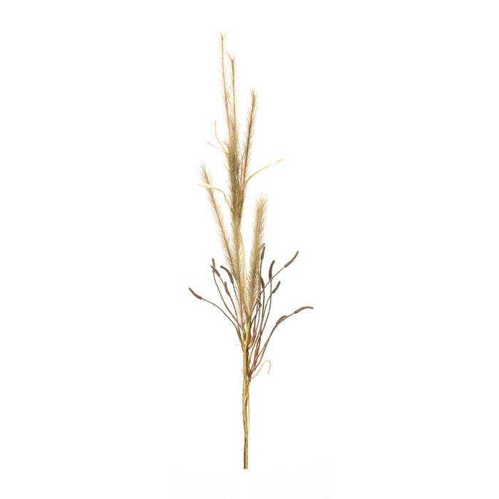 Fox Tail Stem (Set of 2) 47”H Polyester