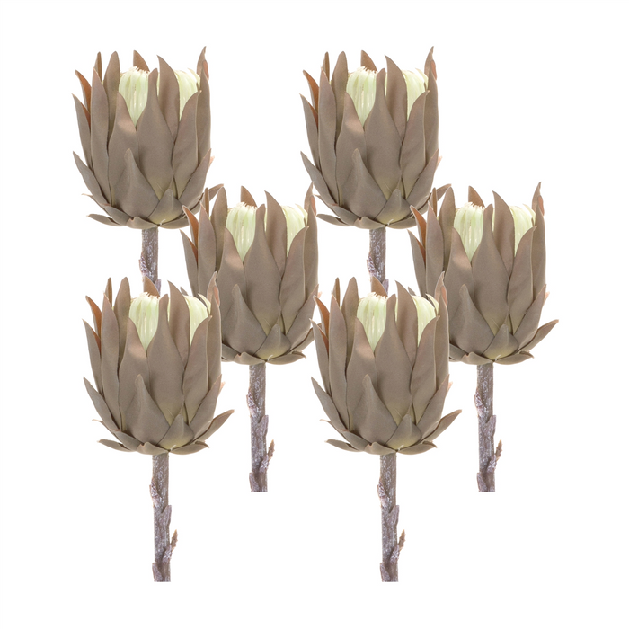 Protea Stem (Set of 6) 20”H Plastic