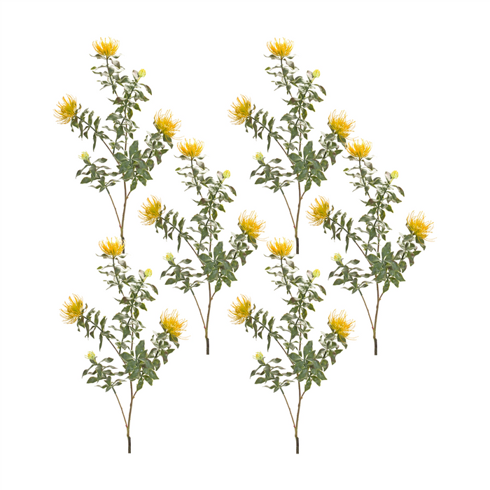 Protea Stem (Set of 6) 34.25”H Plastic/Flocking