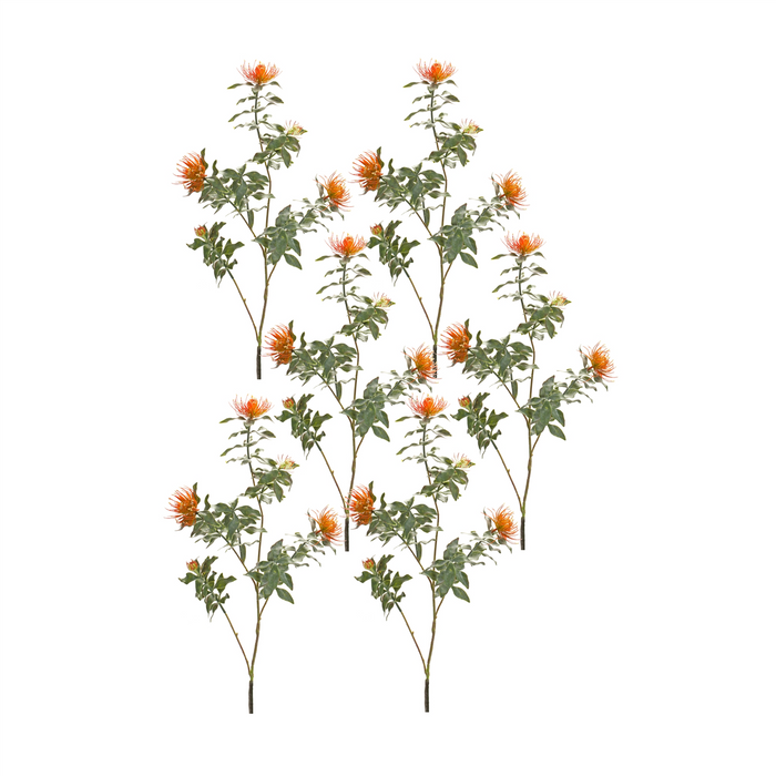 Protea Stem (Set of 6) 34.25”H Plastic/Flocking