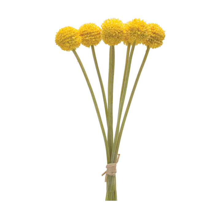 Pod Bundle (Set of 6) 13.25”H Plastic