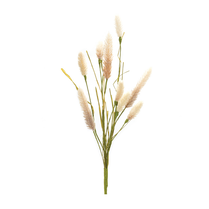 Foxtail Spray (Set of 6) 21.25”H Plastic