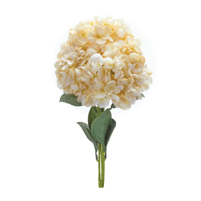 Hydrangea Bush (Set of 2) 19”H Polyester