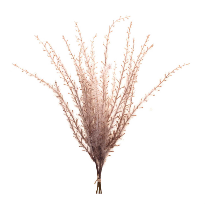 Grass Plume Bundle (Set of 6)