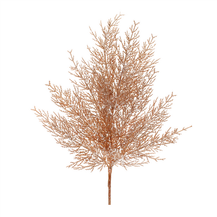 Cedar Spray (Set of 4)