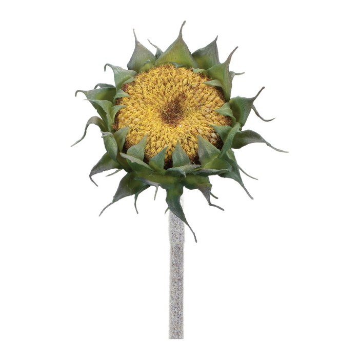 Sunflower Stem (Set of 6) 23.5”H Polyester/Plastic