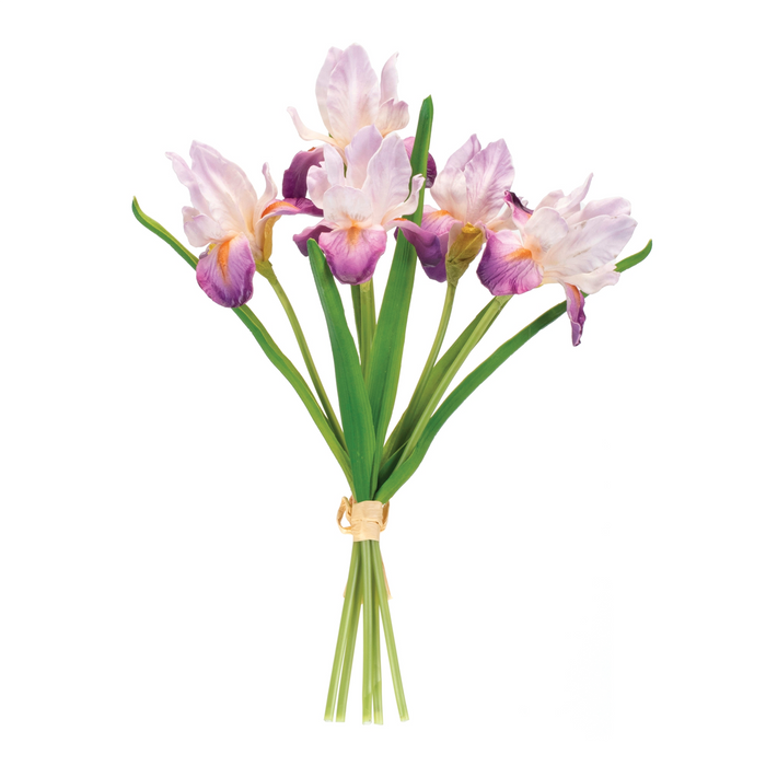 Iris Bundle (Set of 2) 15.5”H Foam/Plastic