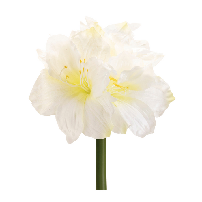 Amaryllis (Set of 6) 28"H Polyester