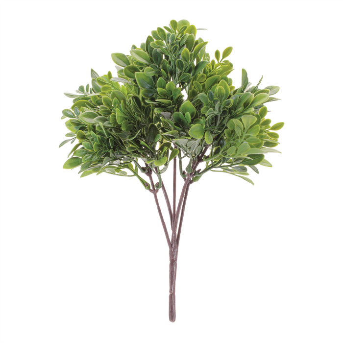Boxwood Bush (Set of 6) 11.5”H Plastic