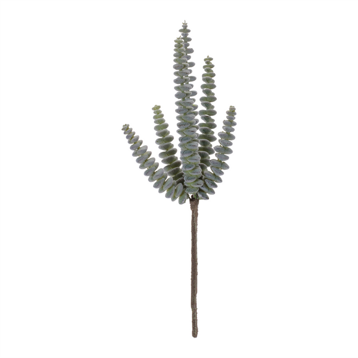 Succulent (Set of 6) 11”H Plastic