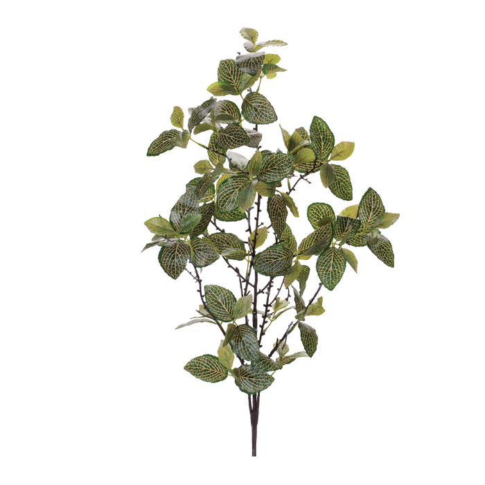 Fittonia Leaf Spray (Set of 4) 31”H Polyester