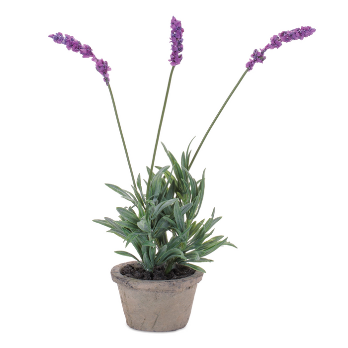Potted Lavender 14.5"H Polyester/Cement