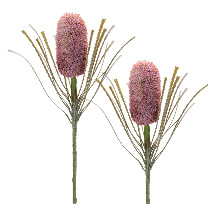 Protea Stem (Set of 2) 28”H Plastic