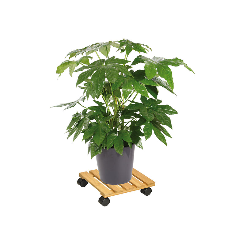 11.4" Square Bamboo Plant Caddy