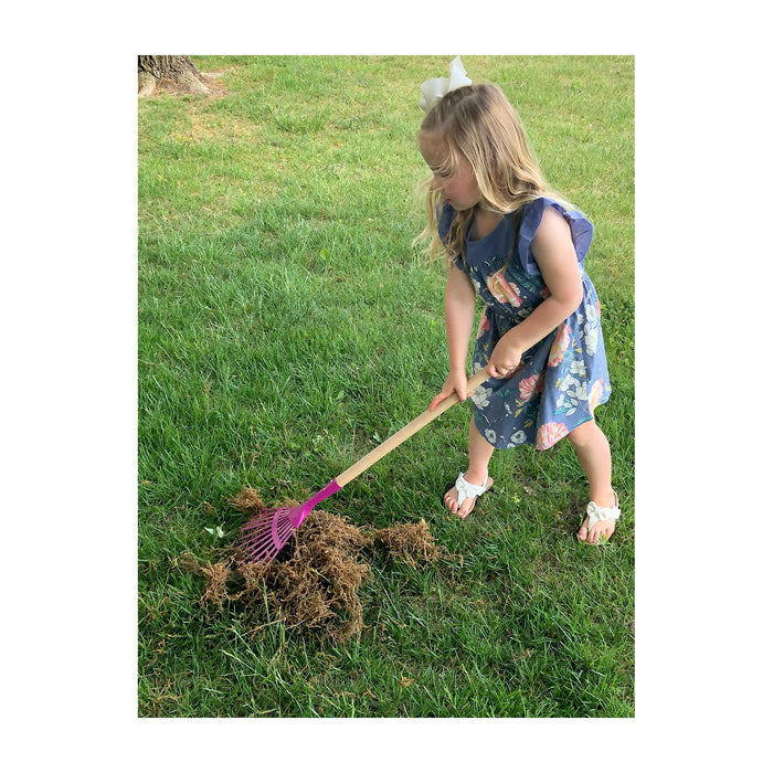 Kid's Leaf Rake