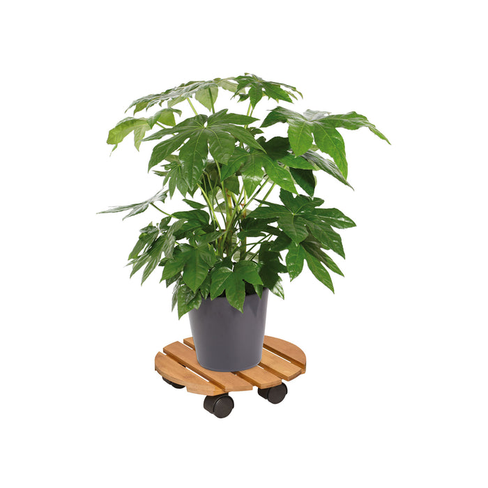 11.4" Round Bamboo Plant Caddy