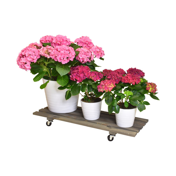 11.5" x 31" Gray Rectangle Wooden Plant Caddy