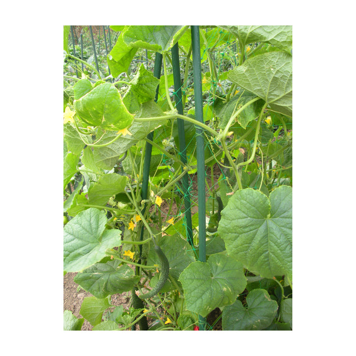 36" Metal Garden Stake