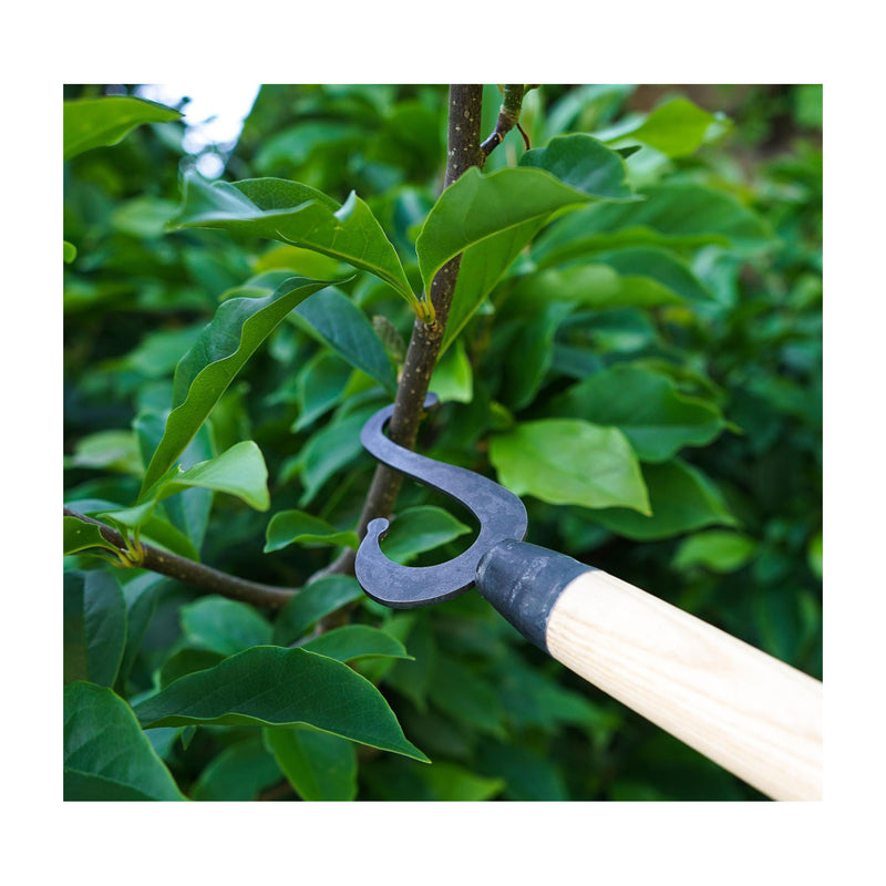 DeWit Branch Hook