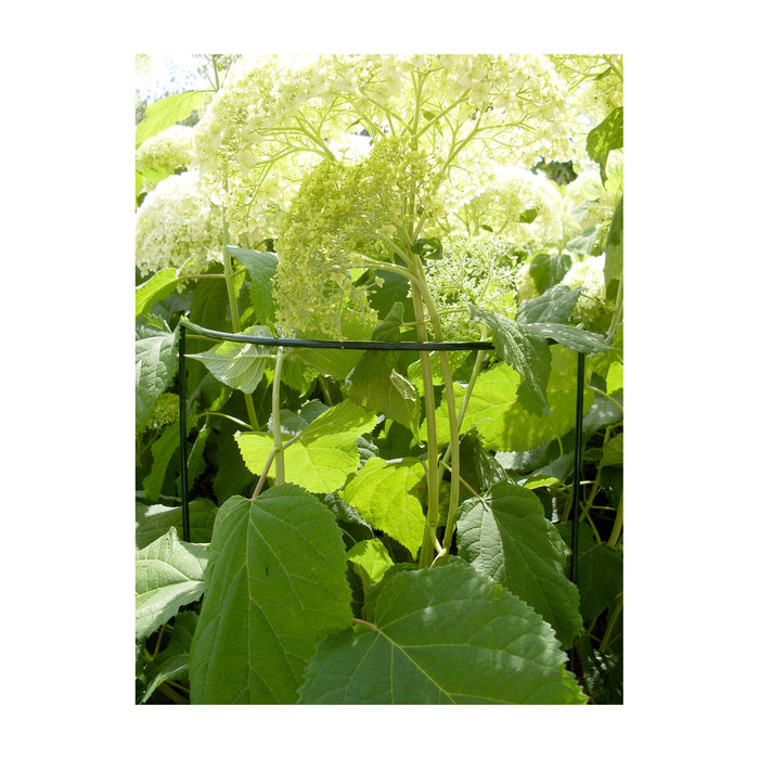 Plant Support Cradle 40" Half Circle