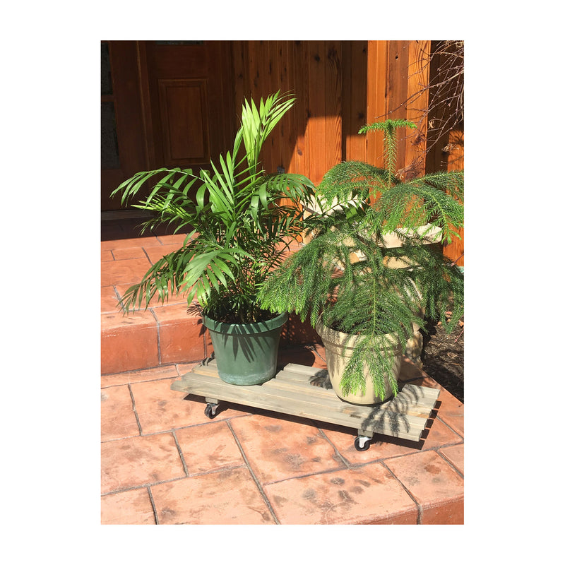 11.5" x 31" Gray Rectangle Wooden Plant Caddy