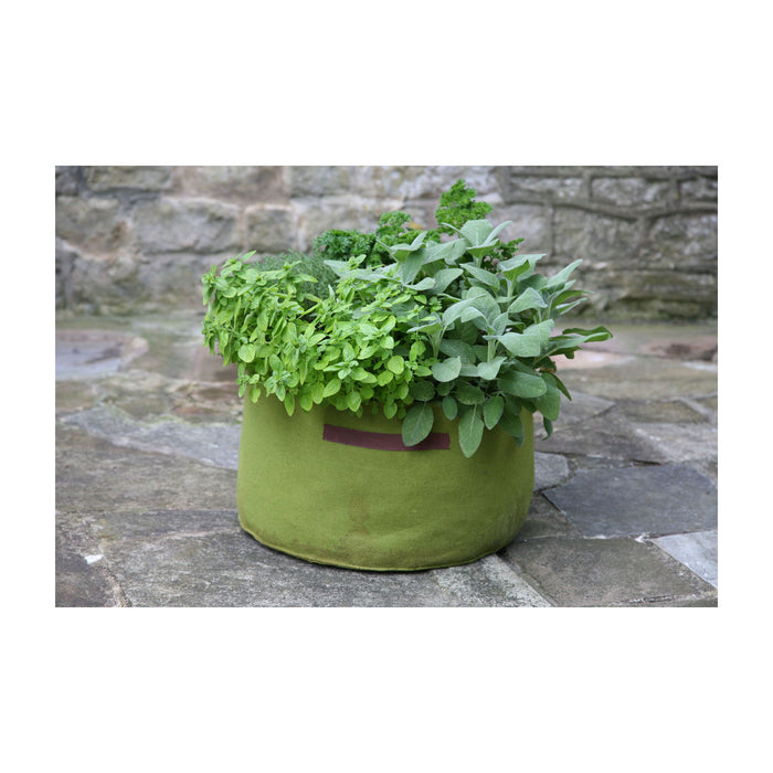 Vigoroot Herb Planter