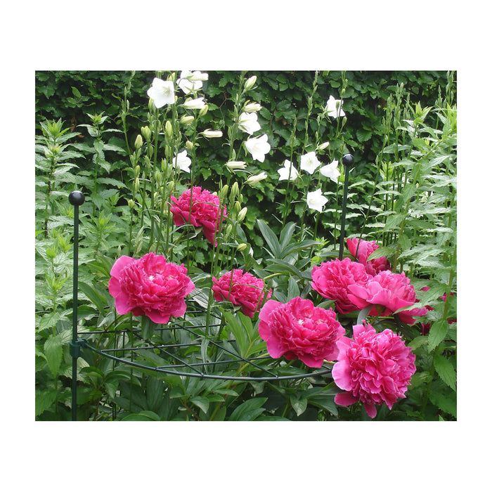 Plant Support Grid 16" Circle