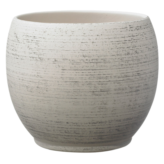 5.9" Wood Optics Gray Ceramic Alberta Fashion Pot