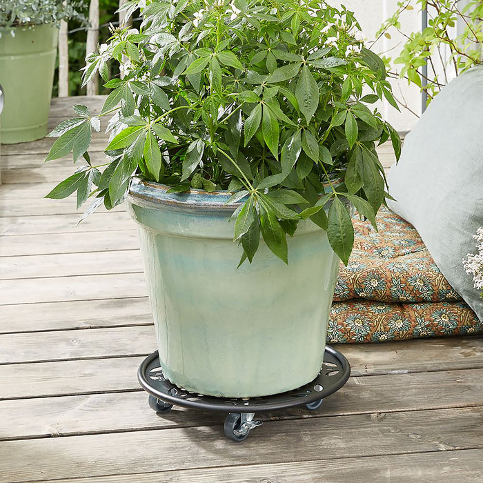 11.8" Black Round Flower Steel Plant Caddy