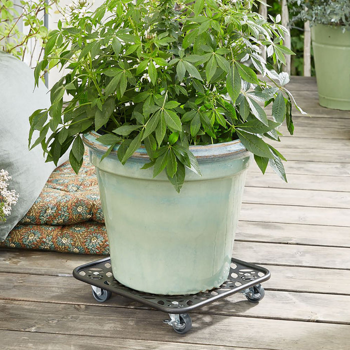 11.8" Black Square Flower Steel Plant Caddy