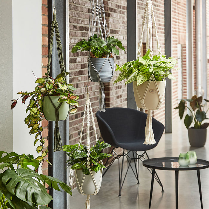 35" Natural Green Macrame Hanger