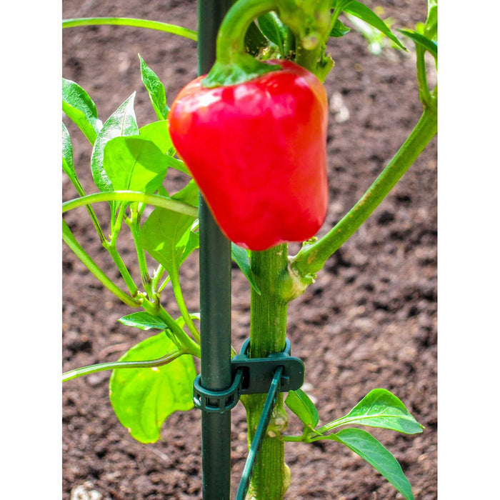 Plant Support Plant Tie 7" 15-pk