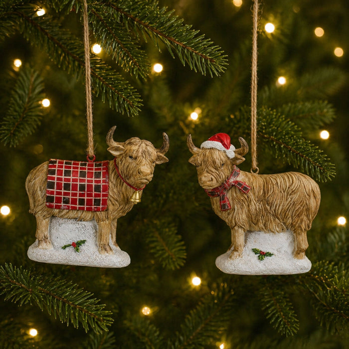 Highland Cow Ornament (Set of 6)