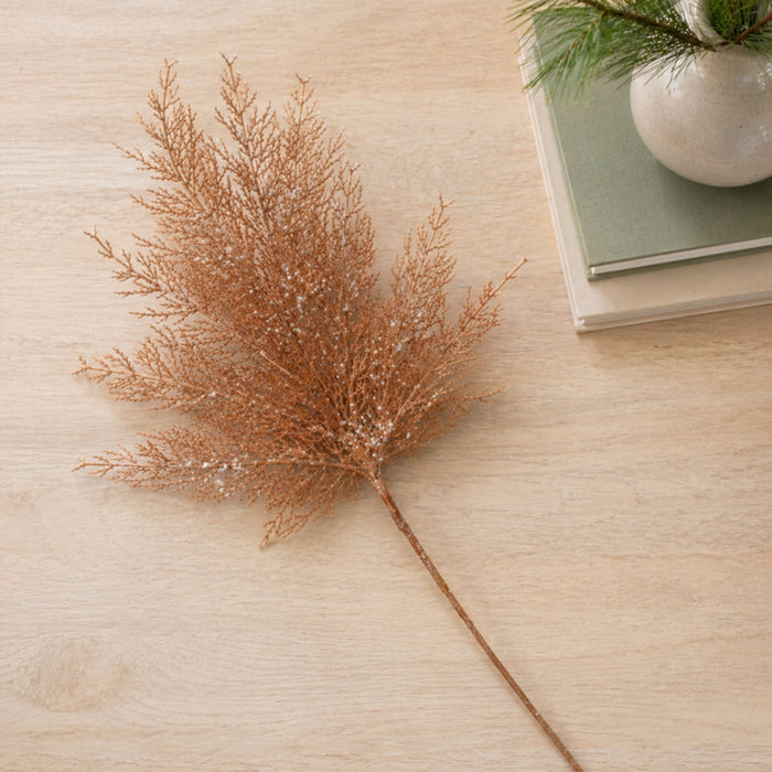 Cedar Spray (Set of 4)