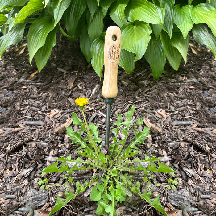 DeWit Set - Weeding